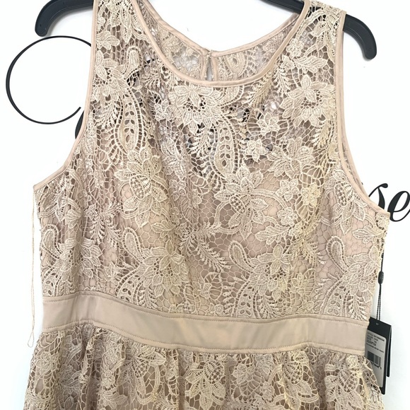 Adrianna Papell lace fit and flare sleeveless cocktail dress - Picture 5 of 10